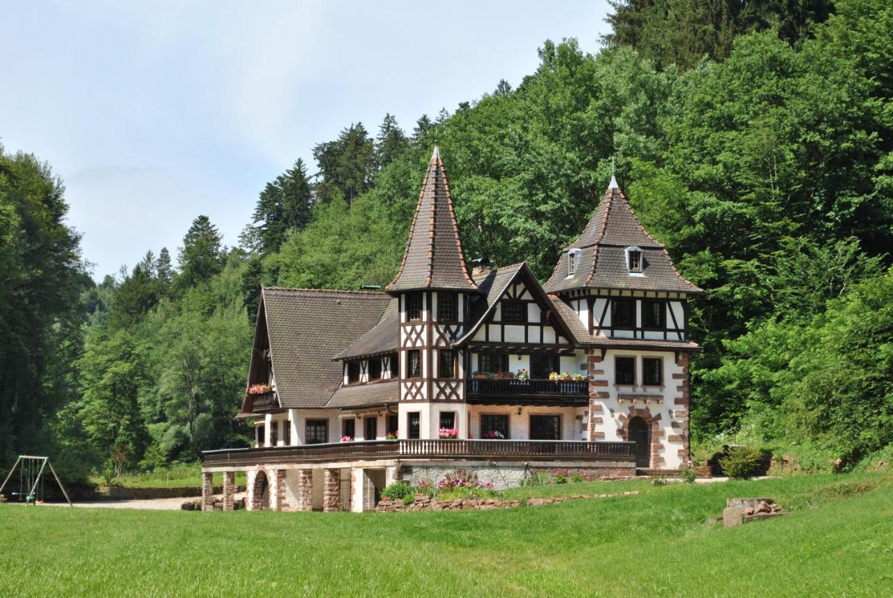 Villa Le Saint Moulin De La Petite Pierre Lohr Exterior foto
