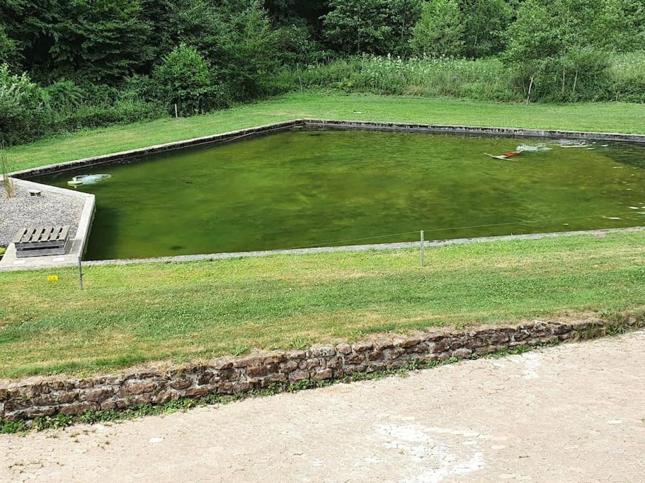 Villa Le Saint Moulin De La Petite Pierre Lohr Exterior foto