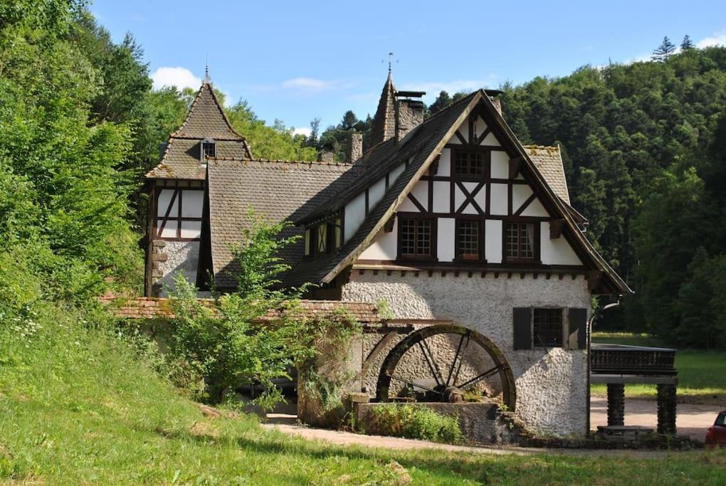 Villa Le Saint Moulin De La Petite Pierre Lohr Exterior foto