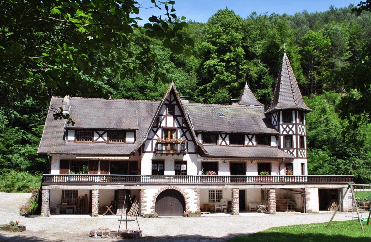 Villa Le Saint Moulin De La Petite Pierre Lohr Exterior foto