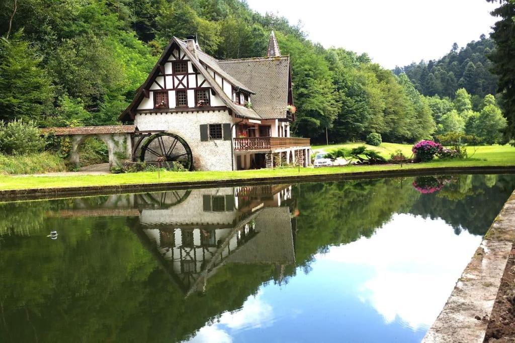 Villa Le Saint Moulin De La Petite Pierre Lohr Exterior foto